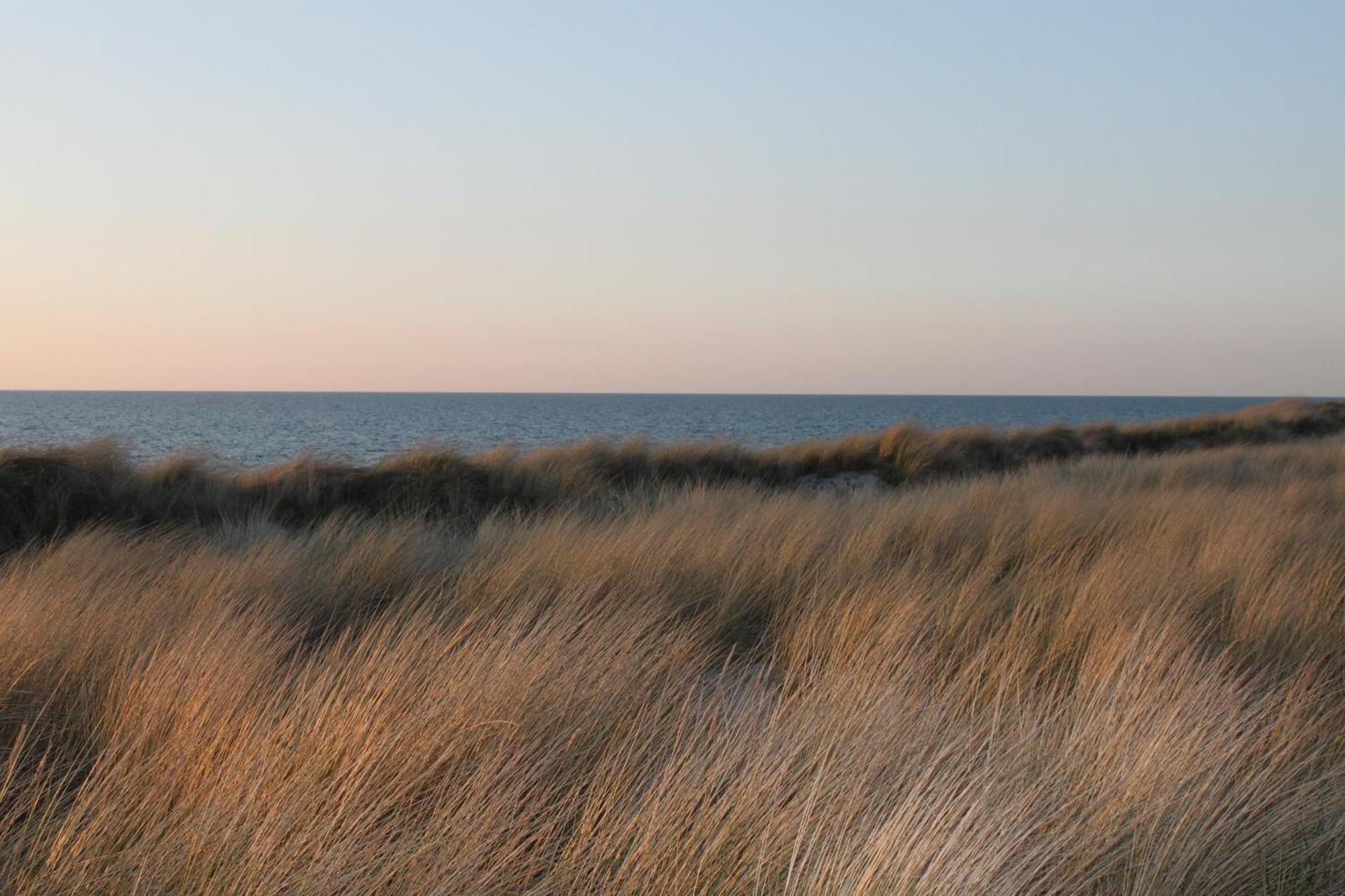 -"Strandhaus Friedrich"- Dierhagen Exterior foto